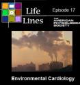 This is the cover for episode 17 of the APS podcast, Life Lines, entitled "Environmental Cardiology."