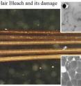 The color changes from conventional bleach are apparent as is the corresponding damage caused to hair fibers (bottom image).