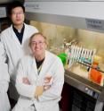 University of Illinois chemistry department research scientist Yonghui Zhang (left), chemist Rong Cao (center), chemistry professor Eric Oldfield and their colleagues engineered a new bisphosphonate drug that is about 200 times more effective at killing cancer cells than a bisphosphonate drug used in a recent clinical trial.