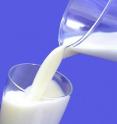 In a development that could help fight osteoporosis, rickets and other bone diseases, scientists are reporting an advance toward an accurate set of standards for measuring vitamin D levels in the blood. Milk (shown) is a well-recognized source of the vitamin.