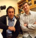 Drs. Daniel Rudic (left), vascular biologist, and Ciprian B. Anea, MCG postdoctoral fellow are researchers at the Medical College of Georgia.