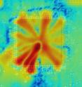 A near-field scanner can determine the electromagnetic field of any chip on the board.