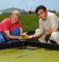 Drs. Anne Stomp and Jay Cheng pose at a test facility where they have been growing duckweed using animal wastewater.