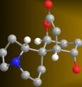 A 3-D model of the alkaloid serratezomine A shows the molecule's complex ring structure.