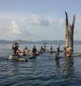 Boys from nearby villages practicing traditional fishing methods on Lake Bosumtwi in Ghana. Large tropical trees submerged in 15-20m of water provide evidence of severe, long lasting droughts just a few centuries ago.