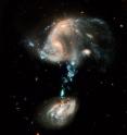 This brilliant image, courtesy of NASA/ESA's Hubble Space Telescope, is a fitting 19th anniversary tribute to the workhorse space observatory.

This interacting group contains several galaxies, along with a "cosmic fountain" of stars, gas and dust that stretches over 100,000 light years. Resembling a pair of owl's eyes, the two nuclei of the colliding galaxies can be seen in the process of merging at the upper left. The bizarre blue bridge of material extending out from the northern component looks as if it connects to a third galaxy but in reality the galaxy is in the background and not connected at all. The blue "fountain" is the most striking feature of this galaxy troupe and it contains complexes of super star clusters that may have as many as dozens of individual young star clusters in them.