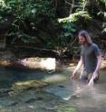 This is Dr. Darren Croft, University of Exeter, conducting the research in the West Indies. This is Dr. Darren Croft, University of Exeter, conducting the research in the West Indies.