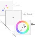 People who viewed these colored squares for a tenth of a second could usually accurately match the color they’d seen to a point on the color wheel after 1 and 4 second intervals. At 10 seconds, some people still made accurate matches, while most made random guesses. The results indicate that short-term visual memory remains precise until it suddenly dies.