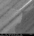 This is a scanning electron microscope image of copper foil fully covered with graphene.