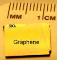 This is a one centimeter-by-one centimeter graphene film transferred to a silicon wafer with a silicon dioxide top layer.