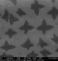 This is a scanning electron microscope image of graphene "seeds" on copper foil.