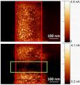 This image recorded after an electric field was applied to a calcium-doped bismuth ferrite multiferroic film shows in the top image current being conducted within the red rectangle (On). In the bottom image, an opposite electric field was applied to the area within the green rectangle, switching it back to an insulating state (Off).
