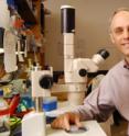 Dr. David Mangelsdorf is chairman of pharmacology at UT Southwestern.