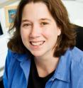 University of Illinois microbiology professor Rachel Whitaker led a study that found that geographic isolation profoundly influences the genetic destiny of a hot springs microbe.