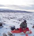 In this photo from February 2006, research team member Christian Trucco makes a wintertime measurement of ecosystem carbon flux in Eight Mile Lake near Denali National Park in Alaska. The black suitcase contains an infrared gas analyzer to measure carbon dioxide exchange between tundra and the air. When the small clear chambers are placed on the snow/tundra surface, the carbon dioxide in the chamber increases slowly over 10 minutes because of microbial release of carbon dioxide from decomposing soil organic matter. Even during the winter when the plants are not active, there is a slow release of carbon by microbes that is significant once it is added up over the long winter period.
