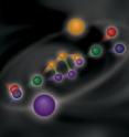 In this artist's depiction of how experimentalists could create true muonium, an electron (blue) and a positron (red) collide, producing a virtual photon (green) and then a muonium atom, made of a muon (small yellow) and an anti-muon (small purple). The muonium atom then decays back into a virtual photon and then a positron and an electron. Overlaying this process is a figure indicating the structure of the muonium atom: one muon (large yellow) and one anti-muon (large purple).