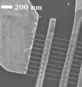 This scanning electron microscope image shows graphene nanoribbons that are 22 nanometers wide between the middle electrode pair.