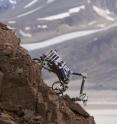 This photo shows the testing of next generation rovers onboard the Arctic Mars Analogue Svalbard Expedition. This "Cliffbot" rover is being designed to sample rock outcrops on Mars and the Moon where scientifically relevant samples are easier to access. This photo shows the testing of next generation rovers onboard the Arctic Mars Analogue Svalbard Expedition. This "Cliffbot" rover is being designed to sample rock outcrops on Mars and the Moon where scientifically relevant samples are easier to access.