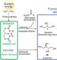 This formic acid-mediated deoxygenation reaction converts glycerol and other unwanted biomass byproducts into feedstocks for commodity chemicals. It could enable biomass to serve as a renewable replacement for petrochemicals.