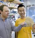 Marc Montminy (left) and Yiguo Wang are researchers with the Salk Institute for Biological Studies.