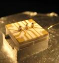 The NIST "stylus trap" can hold a single ion (electrically charged atom) above any of the three sets of concentric cylinders on the centerline. The device could be used as a stylus with a single atom "tip" for sensing very small forces or an interface for efficient transfer of individual light particles for quantum communications. The NIST "stylus trap" can hold a single ion (electrically charged atom) above any of the three sets of concentric cylinders on the centerline. The device could be used as a stylus with a single atom "tip" for sensing very small forces or an interface for efficient transfer of individual light particles for quantum communications.