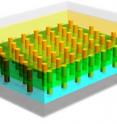 An aluminum substrate forms a template for a forest of cadmium sulfide nanopillars and also serves as a bottom electrode. Embedded in clear cadmium telluride and equipped with a top electrode of copper and gold, the result is an inexpensive and efficient 3-D solar cell.