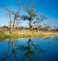 MODSIM sheds light on the modeling, which we can tell us how much water we currently have, and how much we're likely to have in the future.