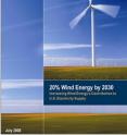 This is the cover of "2008 Wind Technologies Market Report."