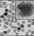 This is a high resolution electron micrograph image of magnesium oxide nanocrystals; the inset shows a single nanocrystal.