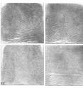 Scientists are reporting evidence
that people have unique patterns
of metabolism, or a "metabolic
fingerprint," that may distinguish
each of the 6.7 billion humans on
Earth from one another almost as
surely as the arches, loops, and
whorls on their fingertips. Scientists are reporting evidence
that people have unique patterns
of metabolism, or a "metabolic
fingerprint," that may distinguish
each of the 6.7 billion humans on
Earth from one another almost as
surely as the arches, loops, and
whorls on their fingertips.