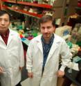 Drs. Huidong Shi (left) and Keith D. Robertson, who study cancer epigenetics, are Georgia Cancer Coalition Scholars.