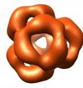 This is a three-dimensional reconstruction of &#945;B crystallin by electron microscopy reveals a sphere-like structure with large openings to the interior of the protein. In the human eye, this molecular machine serves as a "chaperone" to guide protein folding and prevent aggregation such as that responsible for cataracts. Better understanding of this 3-D structure could serve as the basis for comparing healthy and disease-promoting mutants and, based on this, for clarifying the way they function. The scientists hope that this will lead to the discovery of new treatments.