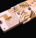 NIST physicists demonstrated sustained, reliable
quantum information processing in the ion trap at
the left center of this photograph, improving
prospects for building a practical quantum
computer. The ions are trapped inside the dark slit
(3.5mm long and 200 micrometers wide)
between the gold-covered alumina wafers. By
changing the voltages applied to each of the gold
electrodes, scientists can move the ions between
the six zones of the trap.