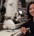 Haimei Zheng is a Berkeley Lab chemist in the research group of Paul Alivisatos who was the lead author on a Science paper that reports the first ever direct observations in real-time of the growth of single nanocrystals in solution.
