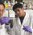 Jeff Wang, an associate professor of mechanical engineering, and biomedical engineering doctoral student Vasudev Bailey examine samples of modified DNA during a new test designed to detect early genetic clues linked to cancer.