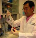 Dr. Zhongjie Sun and his team of researchers at the University of Oklahoma Health Sciences Center have linked an anti-aging gene to hypertension and reversed kidney damage.