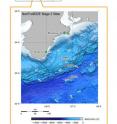 Expedition 319 conducted drilling operations
at three drill sites in the Nankai Trough. Expedition 319 conducted drilling operations
at three drill sites in the Nankai Trough.