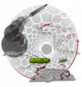 Within the system with carbon nanotubes, the aptamers (red) bind to the bacteria (green), which activates a measurable electrical signal that reveals the presence of the pathogen.