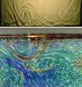 On the top is a shadowgraph visualization of rising and falling plumes in a turbulent fluid. On the bottom are small liquid-crystal spheres show the temperature and velocity in a fluid simultaneously.
