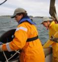 PNNL researchers place yellow acoustic receivers into the Columbia River. The receivers are part of Juvenile Salmon Acoustic Telemetry System, which is helping track the movement of tagged fall Chinook salmon on the Clearwater River in Idaho.