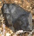 This is Bunburra Rockhole, the meteorite, at the discovery site.