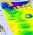 This microwave image of Choi-Wan was created on Sept. 18 at 12:17 a.m. EDT combining AIRS and AMSU data. Cold areas in this image (yellow-green) stretch from Japan (top right) east (and out of range of the satellite swath) indicate precipitation or ice in the cloud tops. The purple area (around the eye) has the coldest cloud temperatures to -63F and suggests cloud heights to the 200 millibar level, near the tropopause.