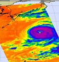 This infrared image from AIRS shows a stark contrast in temperatures from the cold cloud tops (purple) of Choi-Wan colder than -63F to the warm ocean waters (orange and red) as warm as 82F.