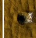 Earlier and later HiRISE images of a fresh meteorite crater 12 meters, or 40 feet, across located within Arcadia Planitia on Mars show how water ice excavated at the crater faded with time. The images, each 35 meters, or 115 feet across, were taken in November 2008 and January 2009.