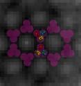 This is a model of the hexagonal arrangement of the chemoreceptors in what are known as "trimers of dimers."