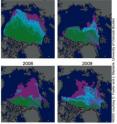This graphics show multi-year Arctic sea ice changes.