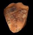This is a bone from the Qusem Cave in Israel showing irregular cutmarks.