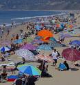 When choosing clothing to protect against the sun’s harmful ultraviolet rays, people should consider blue or red colors rather than yellow. A new study shows that these darker colors, when applied to cotton fabrics, tend to have better UV absorption.