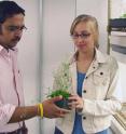 Harsh Bais, University of Delaware assistant professor of plant and soil sciences, and doctoral student Meredith Bierdrzycki with Arabidopsis plants in the laboratory at the Delaware Biotechnology Institute.