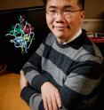 University of Illinois physics professor Taekjip Ha and his colleagues found that the SSB protein travels along single-stranded DNA, regulating other proteins needed for DNA repair, replication and recombination.